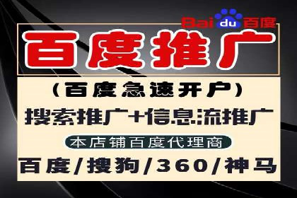 SEM托管服务案例：实现精准营销与客户转化